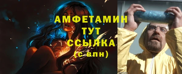 индика Ладушкин