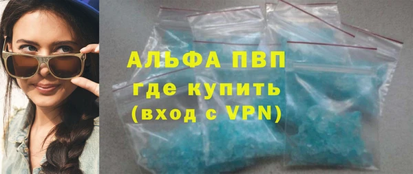 индика Ладушкин