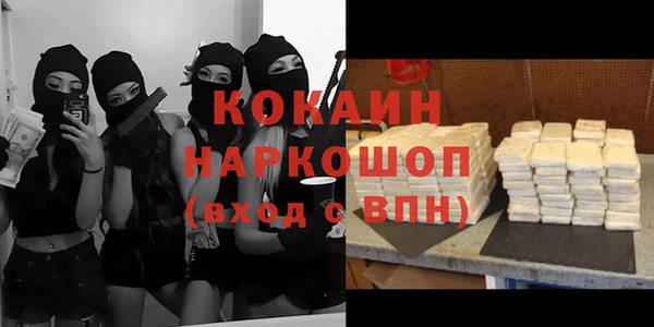 индика Ладушкин