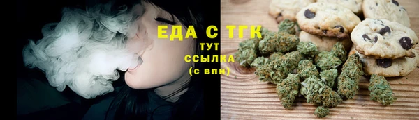 индика Ладушкин