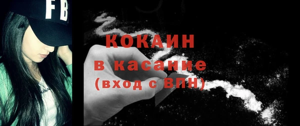 индика Ладушкин