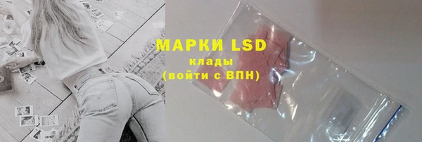 индика Ладушкин
