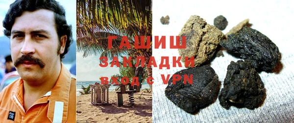индика Ладушкин