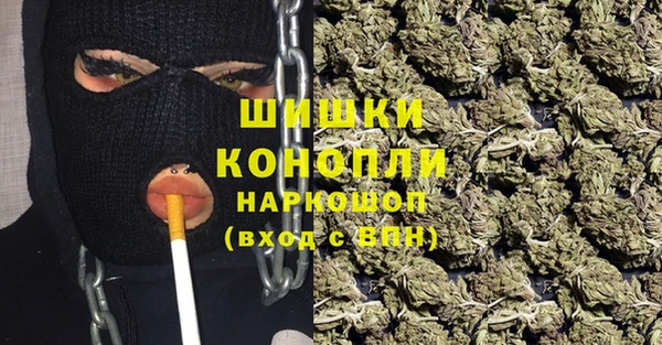 индика Ладушкин