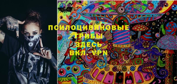 индика Ладушкин