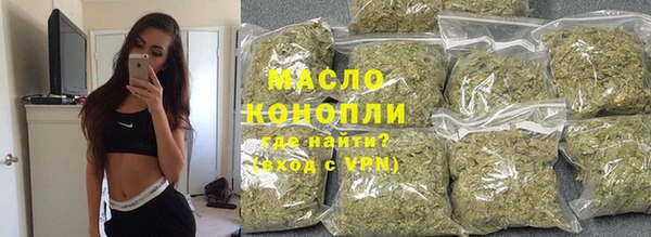 индика Ладушкин