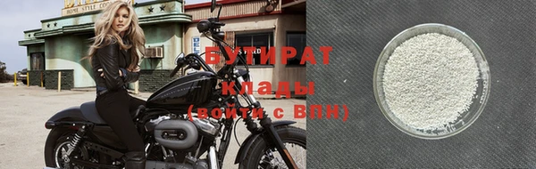 индика Ладушкин