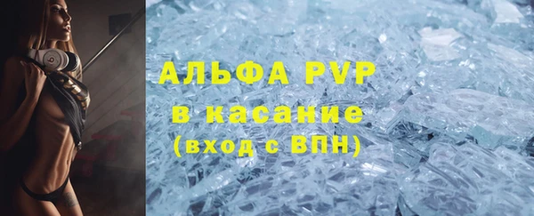 индика Ладушкин