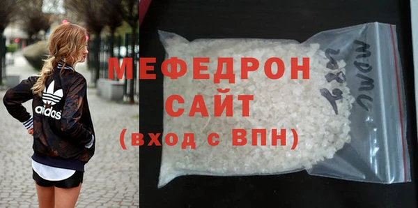 индика Ладушкин