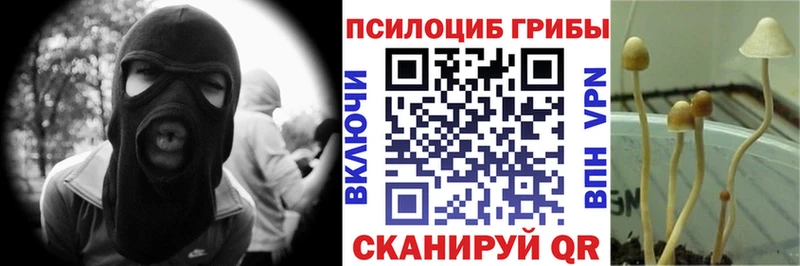 Псилоцибиновые грибы мицелий  купить наркотики цена  маркетплейс клад  Уссурийск 
