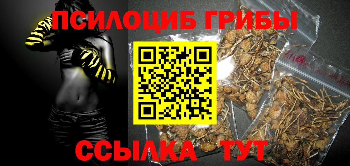 Псилоцибиновые грибы Cubensis  Вход с VPN  закладки  Уссурийск  Галлюциногенные грибы Cubensis 