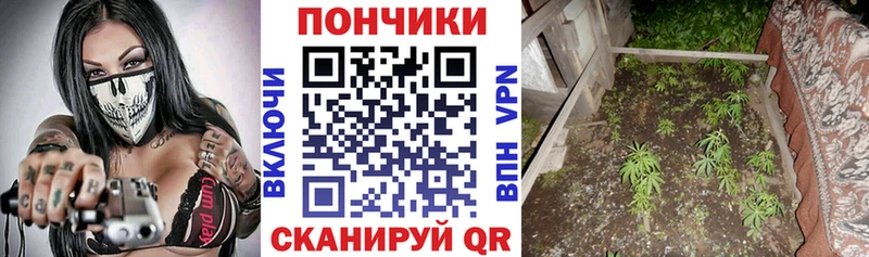 ОМГ ОМГ маркетплейс  купить наркотики сайты  Уссурийск  Конопля White Widow 